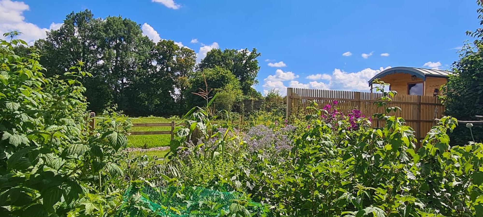 Roulotte A La Ferme Buissonniere Villa La Lande-de-Louge Luaran gambar