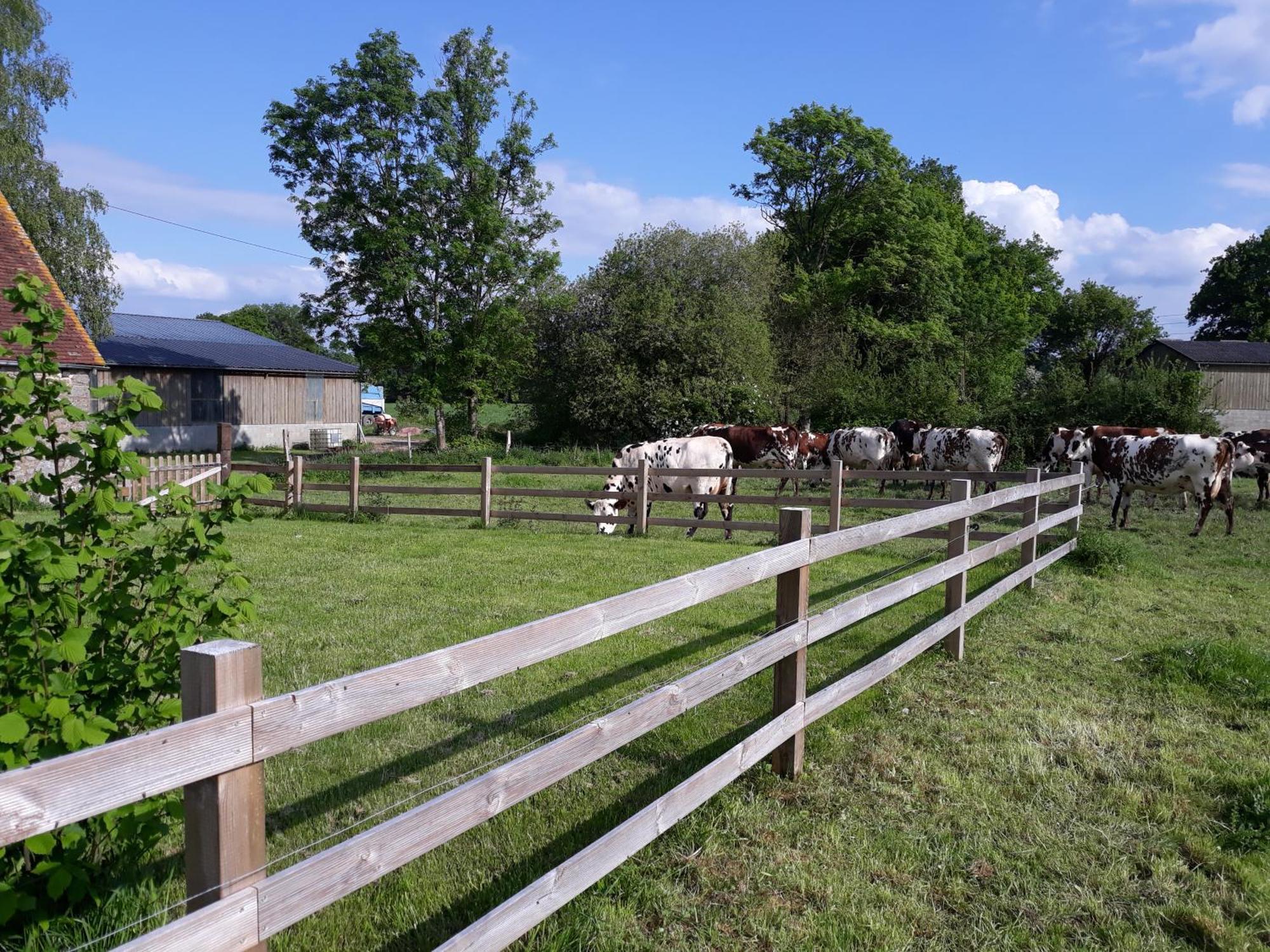 Roulotte A La Ferme Buissonniere Villa La Lande-de-Louge Luaran gambar
